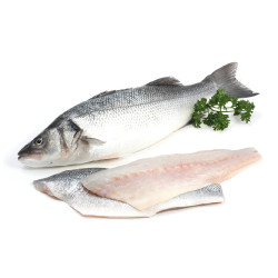 Branzino Fresh